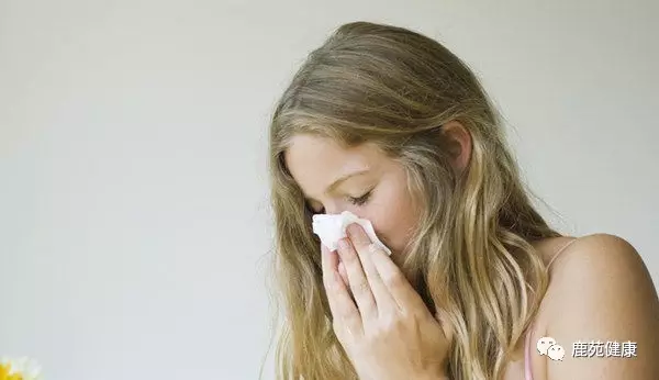 Diagnosis and Treatment Guide for Allergic Rhinitis